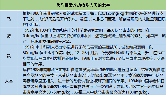 伏馬菌素對動(dòng)物及人類的危害 伏馬菌素對動(dòng)物及人類的危害
